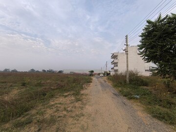Plot Area in  Plot at Pataudi – for Sale