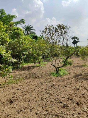 Plot Area in  Plot at Sreerampur – for Sale