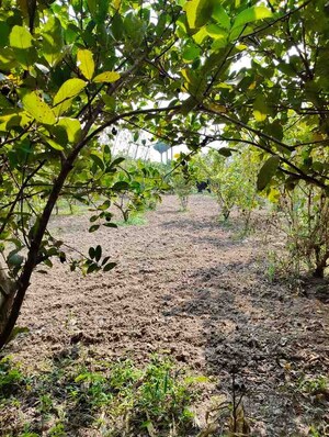 Plot Area in  Plot at Sreerampur – for Sale