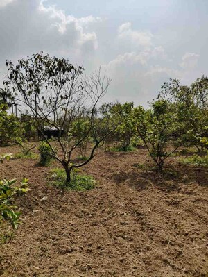  Plot For Sale in Sreerampur