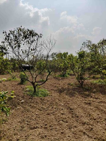 Plot For Sale in Sreerampur