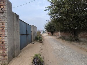  Plot For Sale in Pataudi