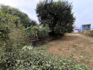 Plot Area in  Plot at Pataudi – for Sale