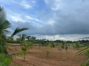  Plot For Sale in Chikkaballapur