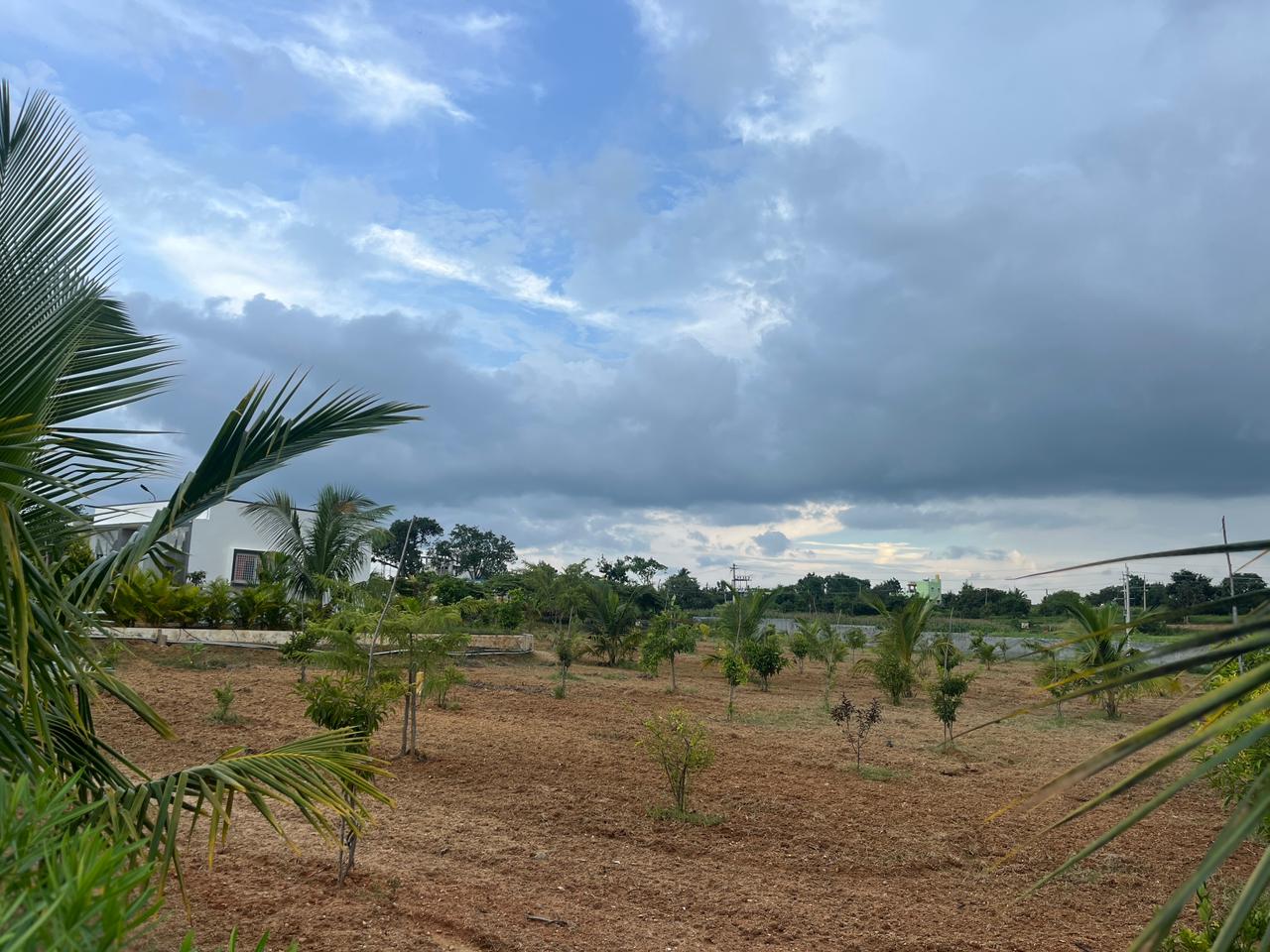 Plot For Sale in Chikkaballapur