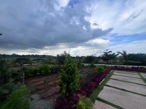  Plot – Exterior View View at Chikkaballapur - for Sale