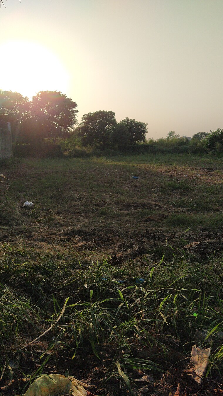Garden, gmada-eco-city  100 Sq.Yd. Plot In North Mullanpur Chandigarh 9361110
