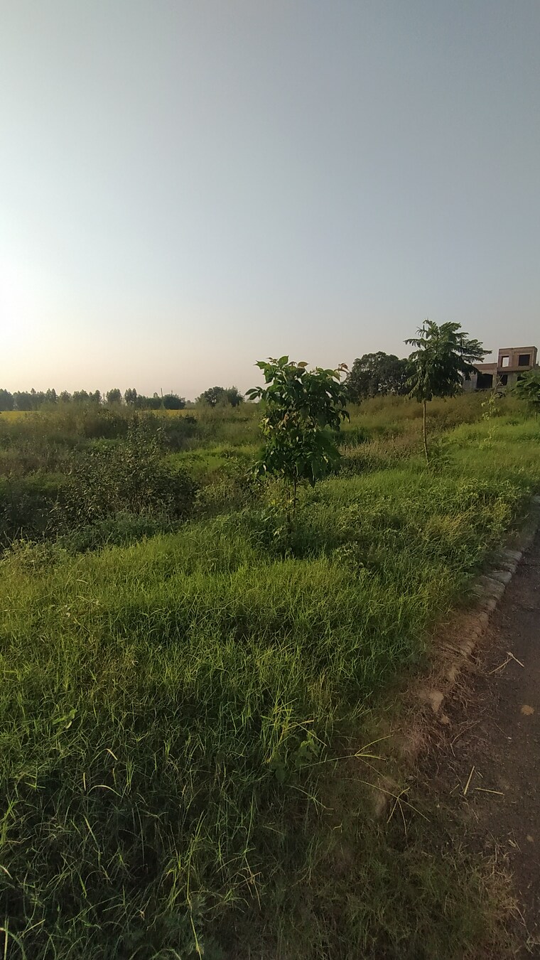 Garden, gmada-eco-city  100 Sq.Yd. Plot In North Mullanpur Chandigarh 9361110