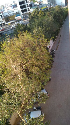 3 BHK Apartment – Garden View at Faizabad Road - for Rent