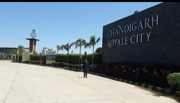 Plot For Sale in Chandigarh Royal City