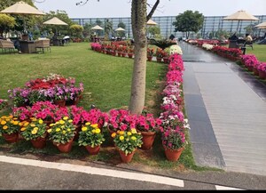 2 BHK Apartment – Garden View at BPTP Amstoria Verti Greens, Sector 102 - for Sale