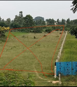  Land For Sale in Devanahalli