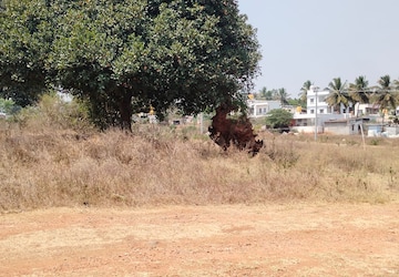Plot Area in  Plot at Hemmigepura – for Sale
