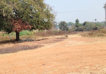 Plot For Sale in Hemmigepura