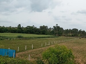 Plot Area in  Land at Devanahalli – for Sale