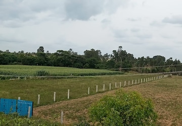Plot Area in  Land at Devanahalli – for Sale