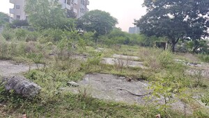  Land For Sale in Nipania