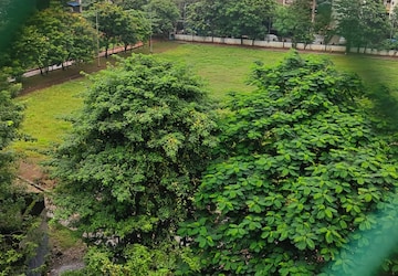 1 BHK Apartment – Garden View at Silver Residency Kalyan, Kalyan West - for Sale