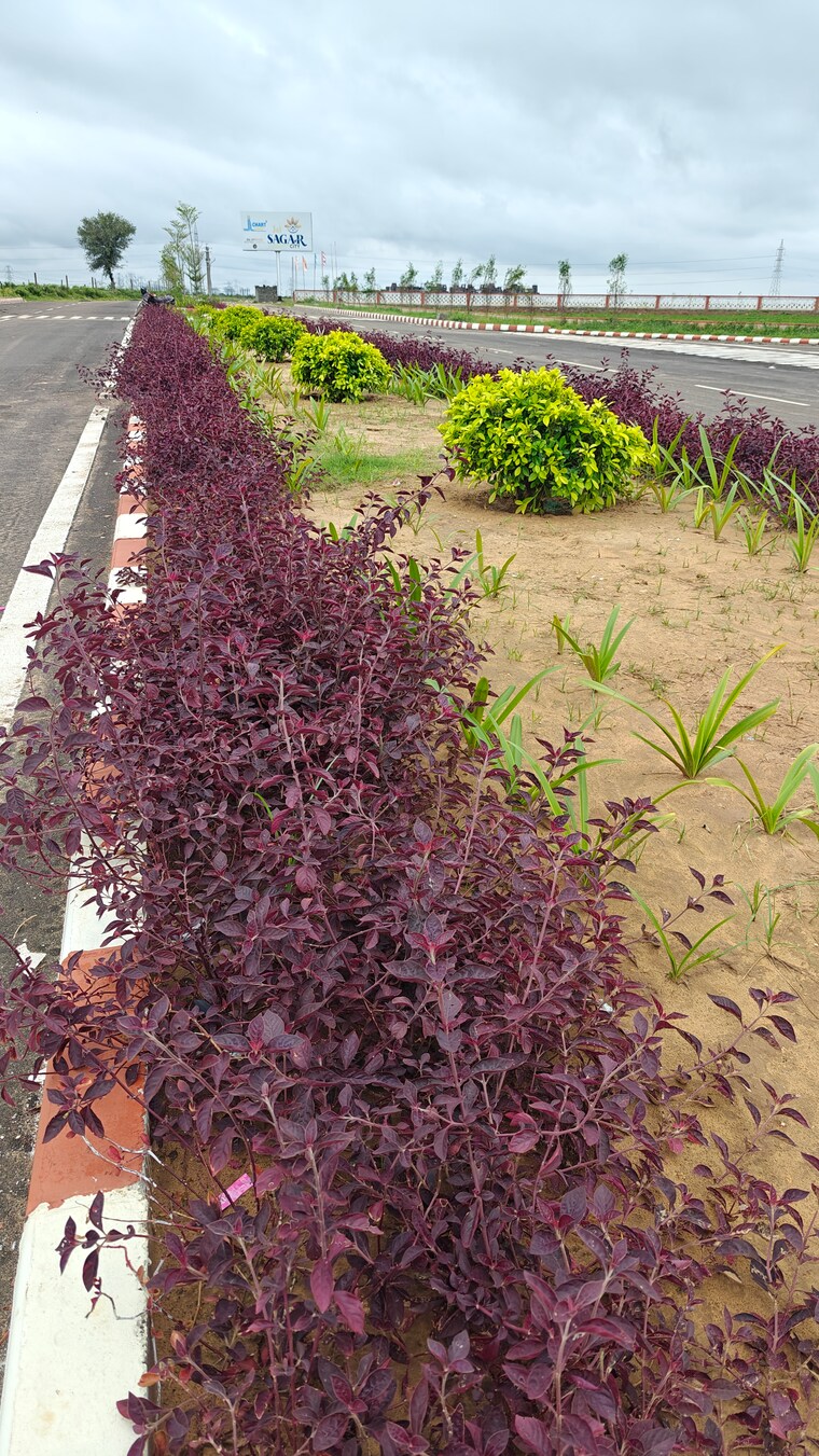 Garden, chittora  111 Sq.Yd. Plot In Chittora Jaipur 9362354