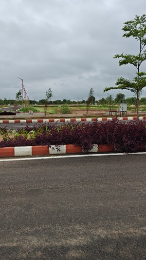  Plot – Exterior View View at Chittora - for Sale