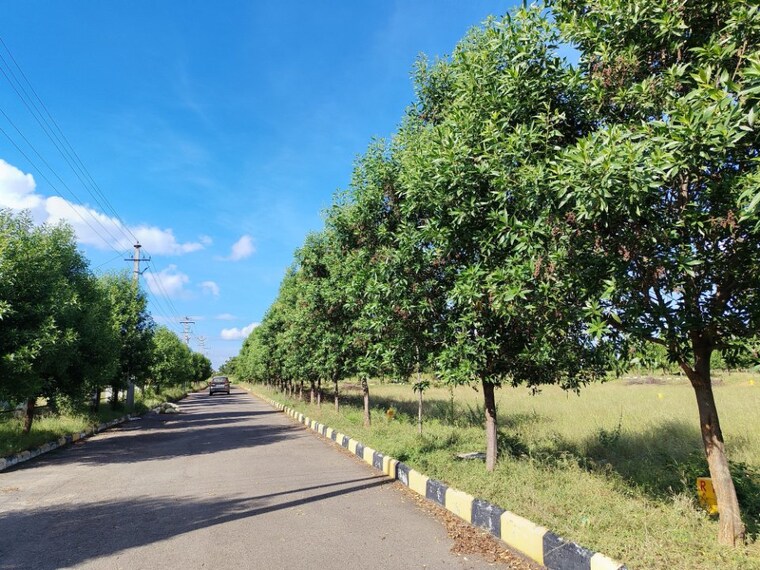 undefined, pharma-green-city  138 Sq.Yd. Plot In Yacharam Hyderabad 9362546