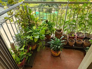 Balcony in 2.5 BHK Apartment at Lodha Splendora, Ghodbunder Road – for Sale