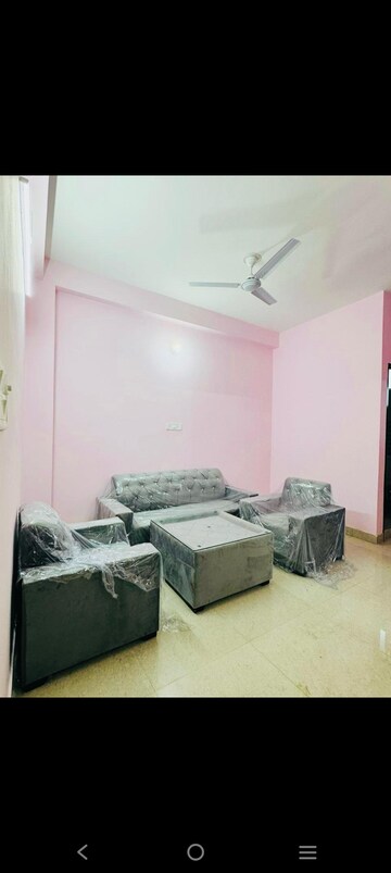 1 BHK Builder Floor For Rent in Saket