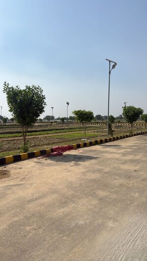 Plot Area in  Plot at Sujanpur – for Sale