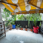 1 BHK 670 Sq.Ft. Apartment in Rahul CHS Koregaon Park