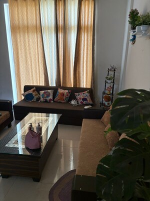 3 BHK Apartment For Rent in Bliss Orra, Ambala Highway