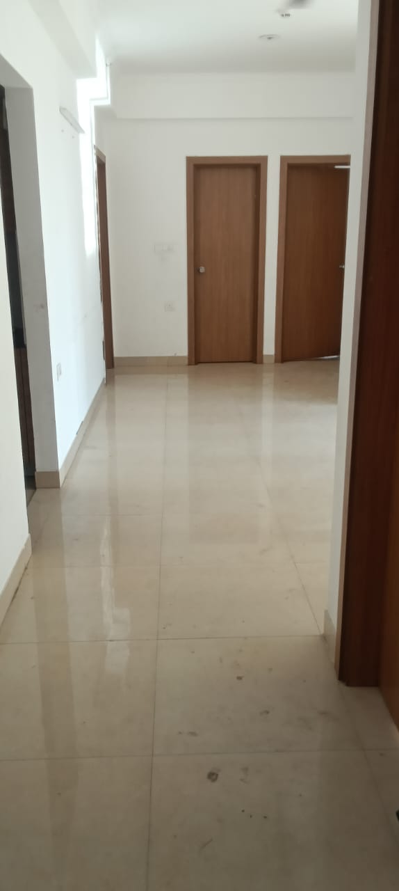 2 BHK Apartment For Rent in Amrapali Golf Homes