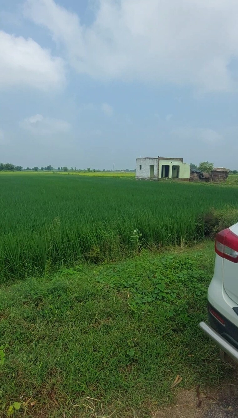 undefined, mant Commercial Land 16335 Sq.Ft. In Mant Mathura 9364095