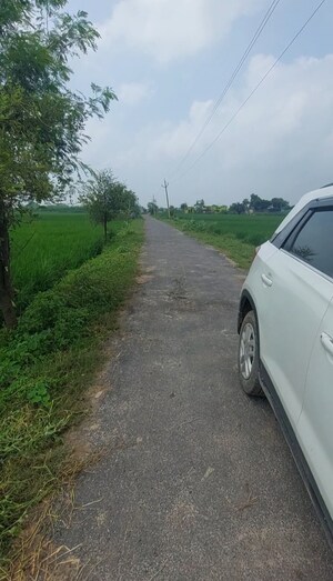 Plot Area in  Land at Mant – for Sale