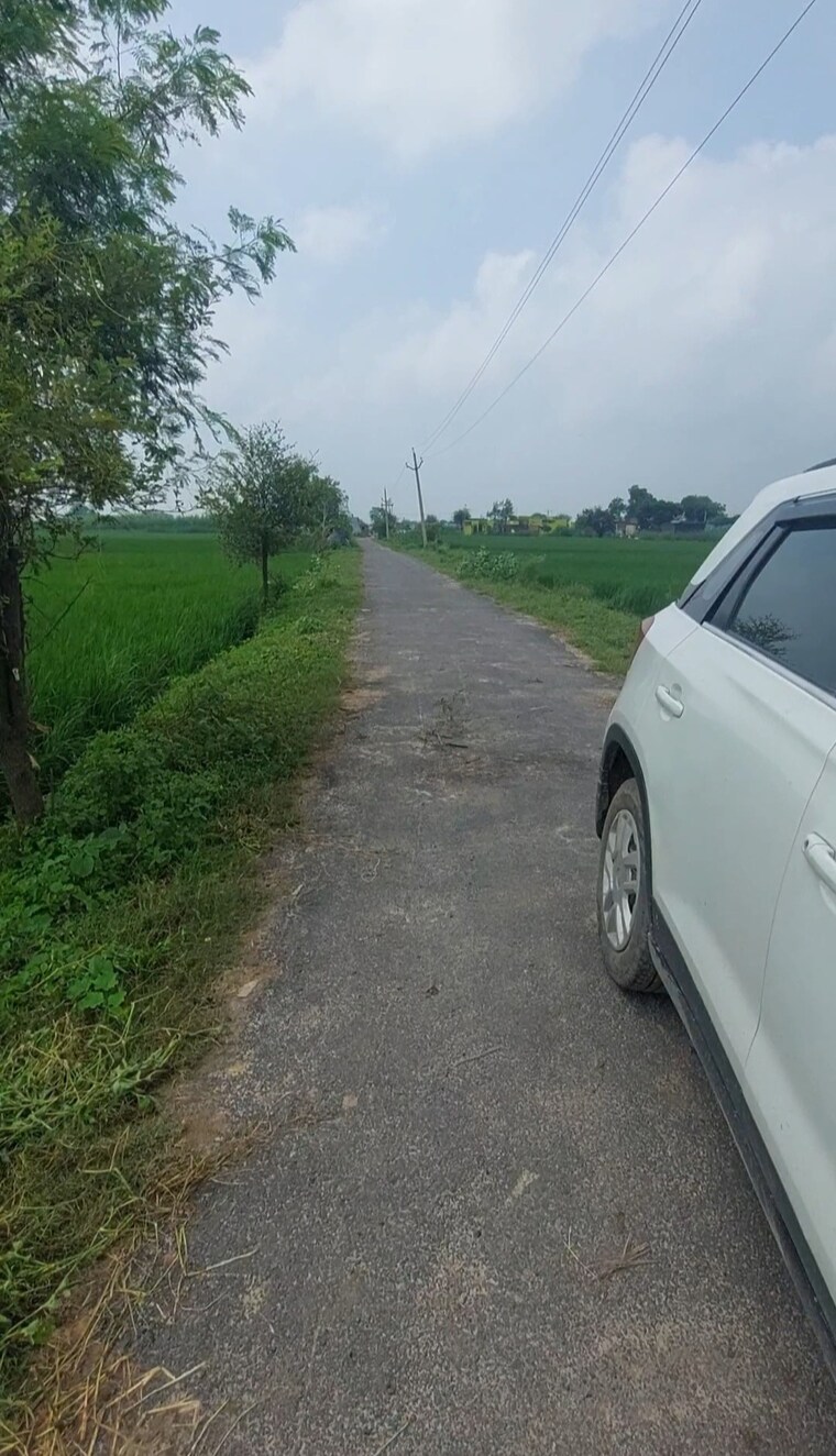 undefined, mant Commercial Land 16335 Sq.Ft. In Mant Mathura 9364095
