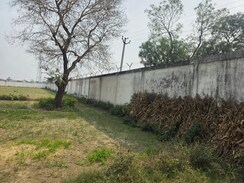 Plot For Sale in Dlf Ankur Vihar