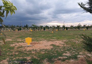 Plot For Sale in Vasudaika Henley Woods, Nagreddipalli