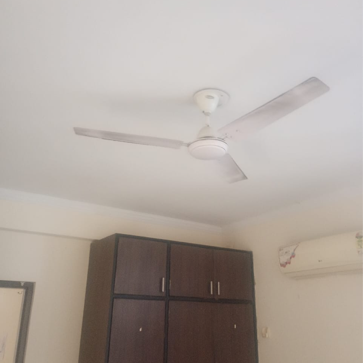 2 BHK + Pooja Room 1185 Sq.Ft. Apartment in Maya Garden City