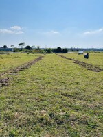 150 Sq.Yd. Plot in Sarita Vihar Sherpur 