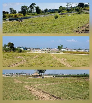   Plot at Sherpur – for Sale