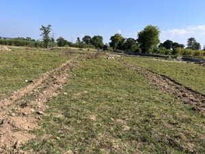 Plot Area in  Plot at Sherpur – for Sale