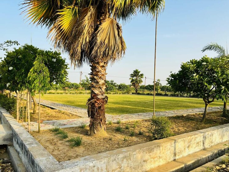 Garden, sultanpur road  1296 Sq.Ft. Plot In Sultanpur Road Lucknow 9365097