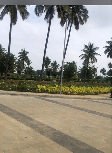 Plot – Exterior View View at Orchid Nirvana, Devanahalli - for Sale