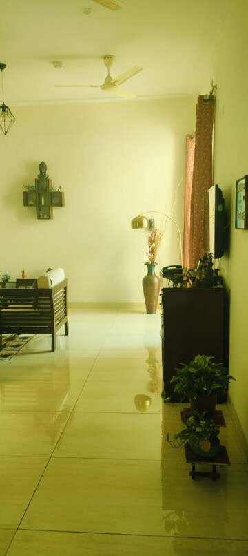 3 BHK Apartment For Sale in Noida Extension