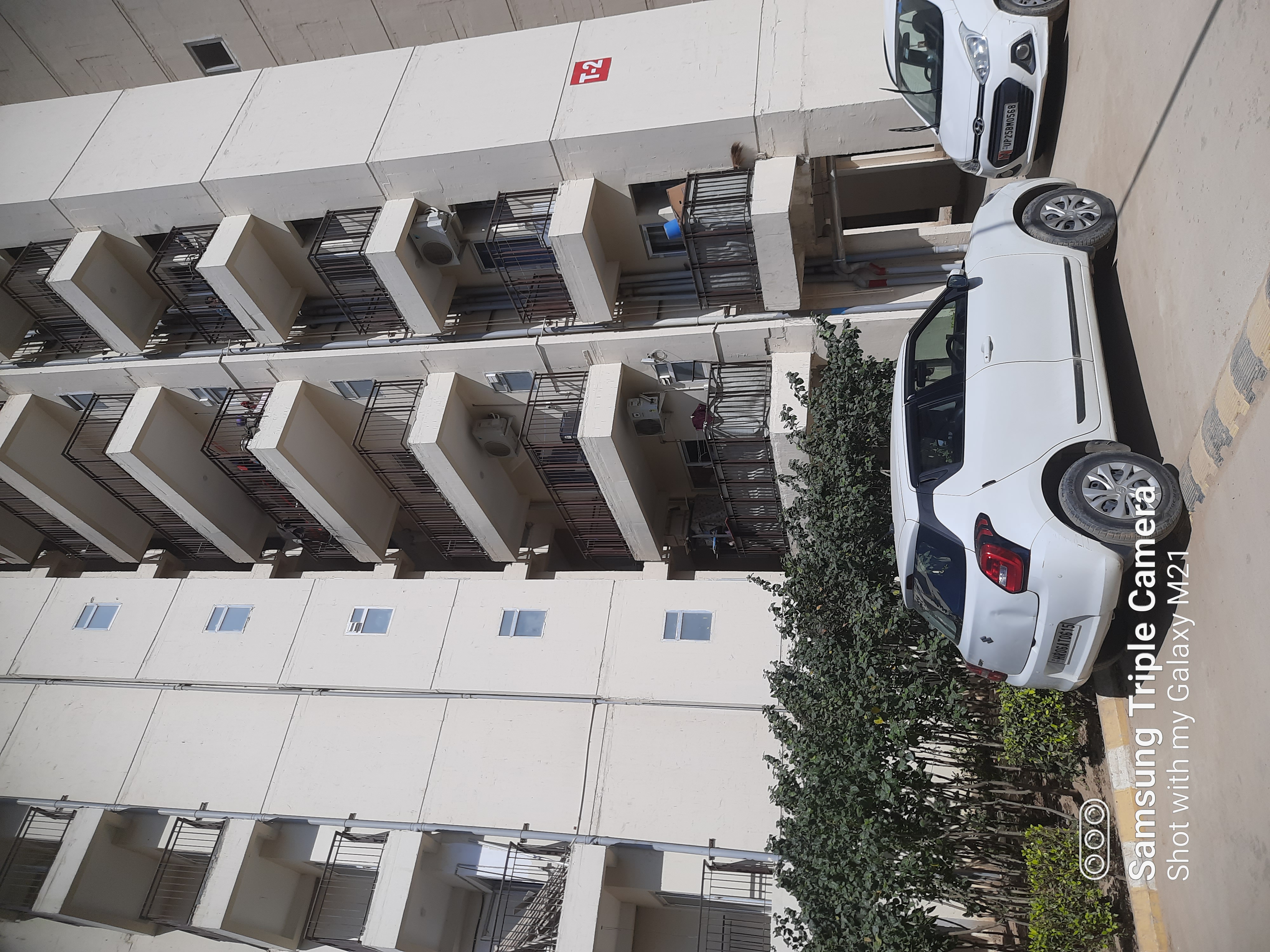 2 BHK Apartment For Rent in Pivotal Paradise