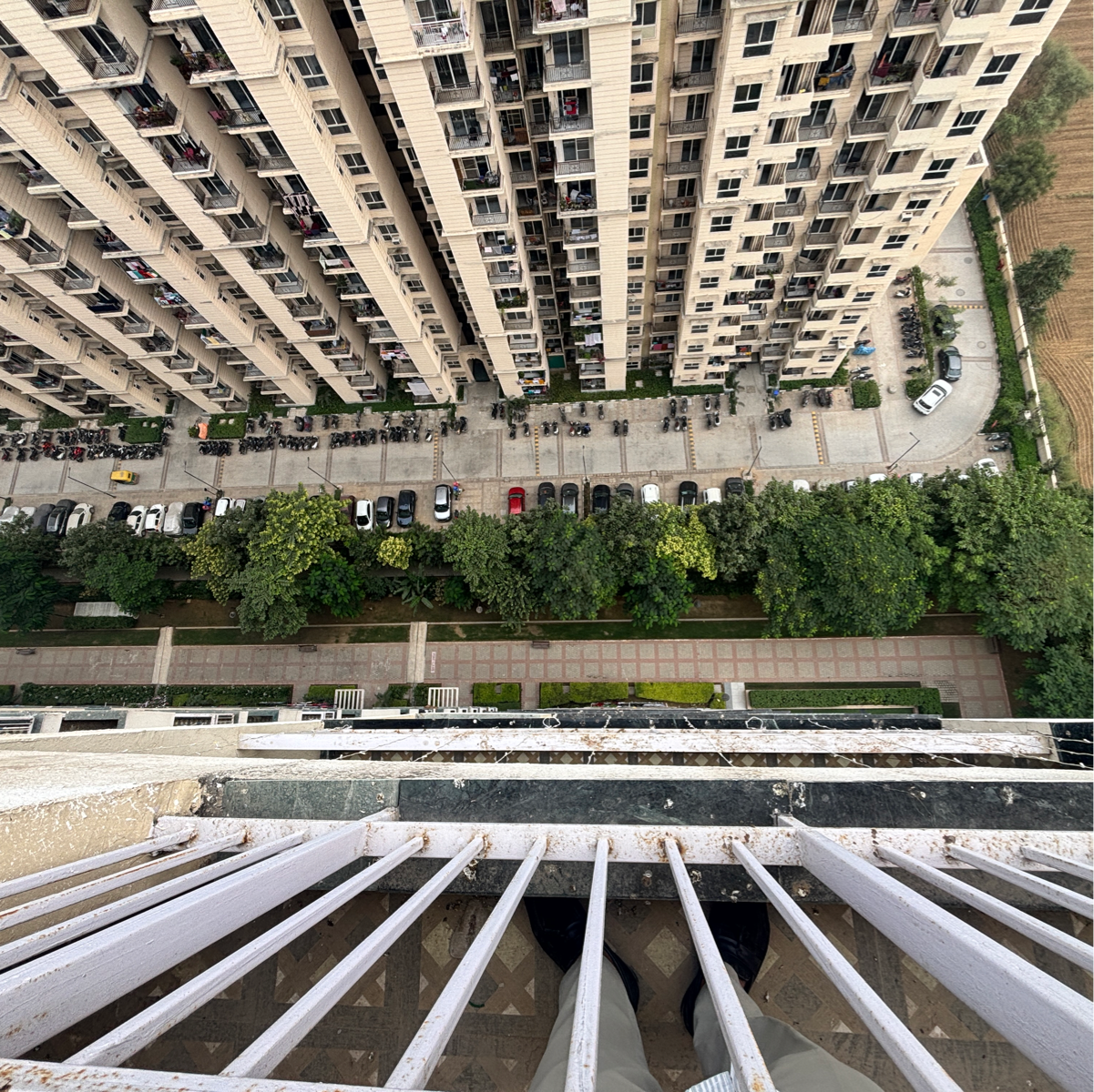 3 BHK 1520 Sq.Ft. Apartment in BPTP Park Generations