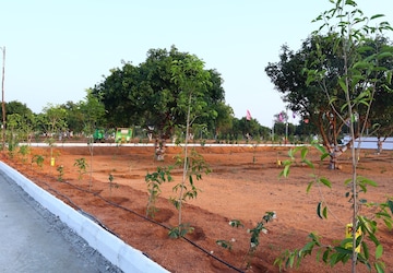 Plot For Sale in Sirsi Road