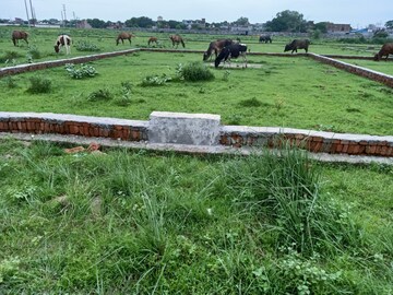 Plot Area in  Plot at Allahabad Airport – for Sale