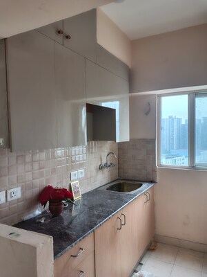 Kitchen in 1 BHK Apartment at Amrapali Dream Valley, Tech Zone 4 Greater Noida – for Rent