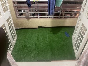 Balcony in 2 BHK Apartment at G K Jarvari, Pimple Saudagar – for Rent