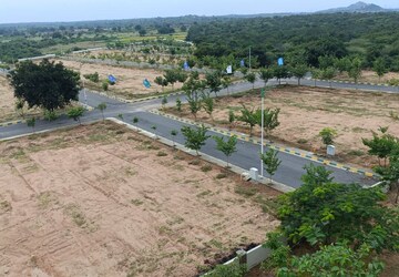 Plot Area in  Plot at Rachloor – for Sale